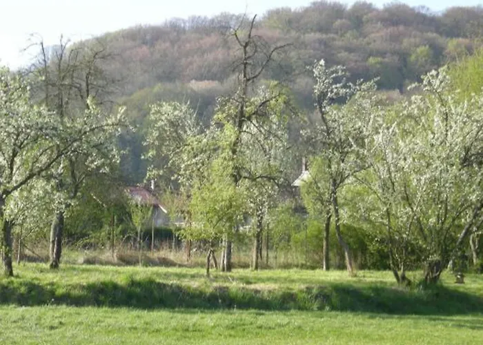 Champetre Avec Peche, Animaux Admis - Fr-1-585-6